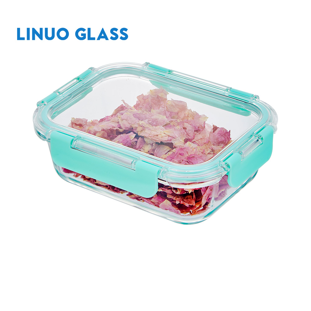 Glass Food Storage Salad Lunch Container
